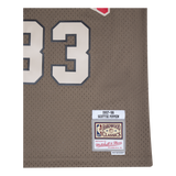 Bulls Astro Swingman Jersey - Scottie Pippen