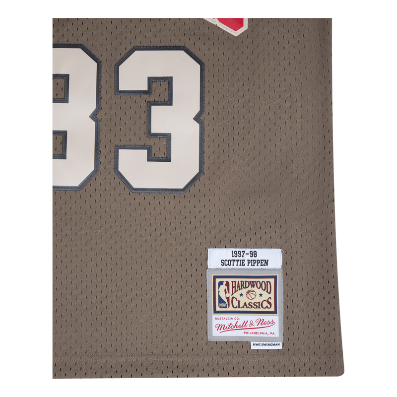 Bulls Astro Swingman Jersey - Scottie Pippen