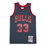 Bulls Space Knit Swingman Jersey - Scottie Pippen