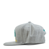 Supersonics Team Snapback HWC