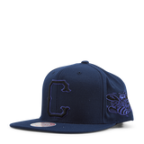 Mellow Fall Snapback HWC