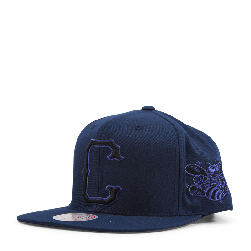Mellow Fall Snapback HWC