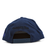 Mellow Fall Snapback HWC