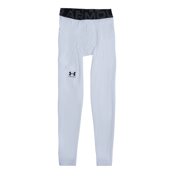 UA Men's HeatGear® Tights