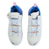 LeBron XVIII