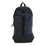 Iridescent Backpack