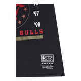 Bulls Last Dance Bulls 6x Champ
