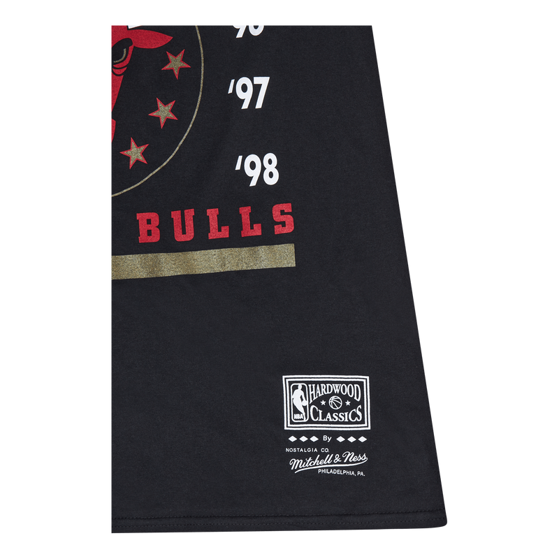 Bulls Last Dance Bulls 6x Champ