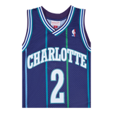 Swingman Jersey -Larry Johnson