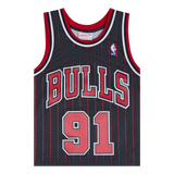 Bulls Swingman Jersey Rodman