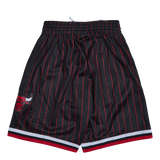 Bulls Swingman Shorts