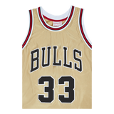 Bulls Nba 75th Swingman