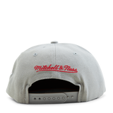 Bucks 75th Snapback