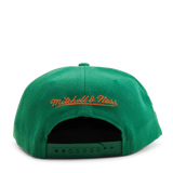 Hornets "Like Mike" Snapback HWC