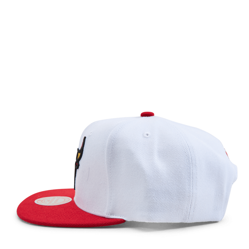 Bulls NBA 50th Anniversity Snapback