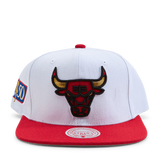 Bulls NBA 50th Anniversity Snapback