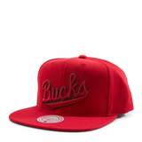 Bucks Two Tonal Snapback HWC