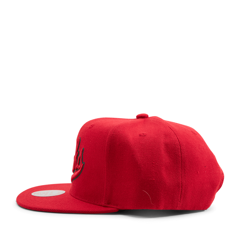 Bucks Two Tonal Snapback HWC