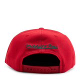 Bucks Two Tonal Snapback HWC