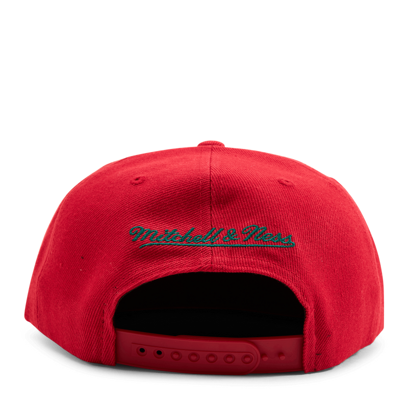 Bucks Two Tonal Snapback HWC