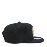 Nets Fools Gold Snapback