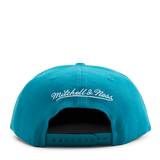 Hornets Color Popz Snapback