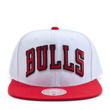 Bulls Core Basics Snapback