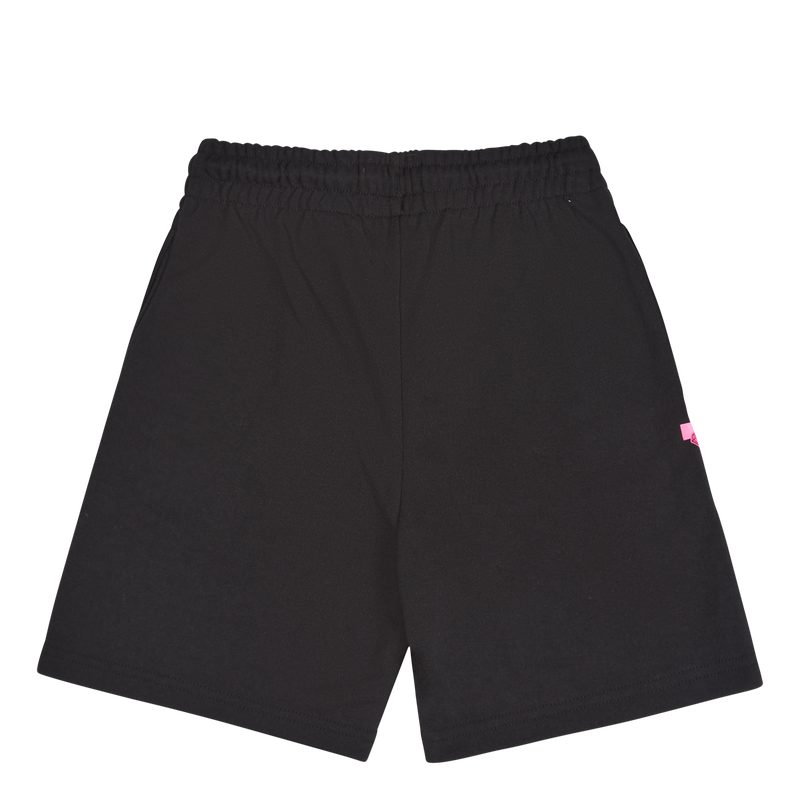 Zion Holographic Short