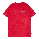 Bulls Washed Pack Graphic Os T
