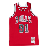 Bulls Swingman Jersey Rodman