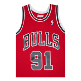 Bulls Swingman Jersey Rodman