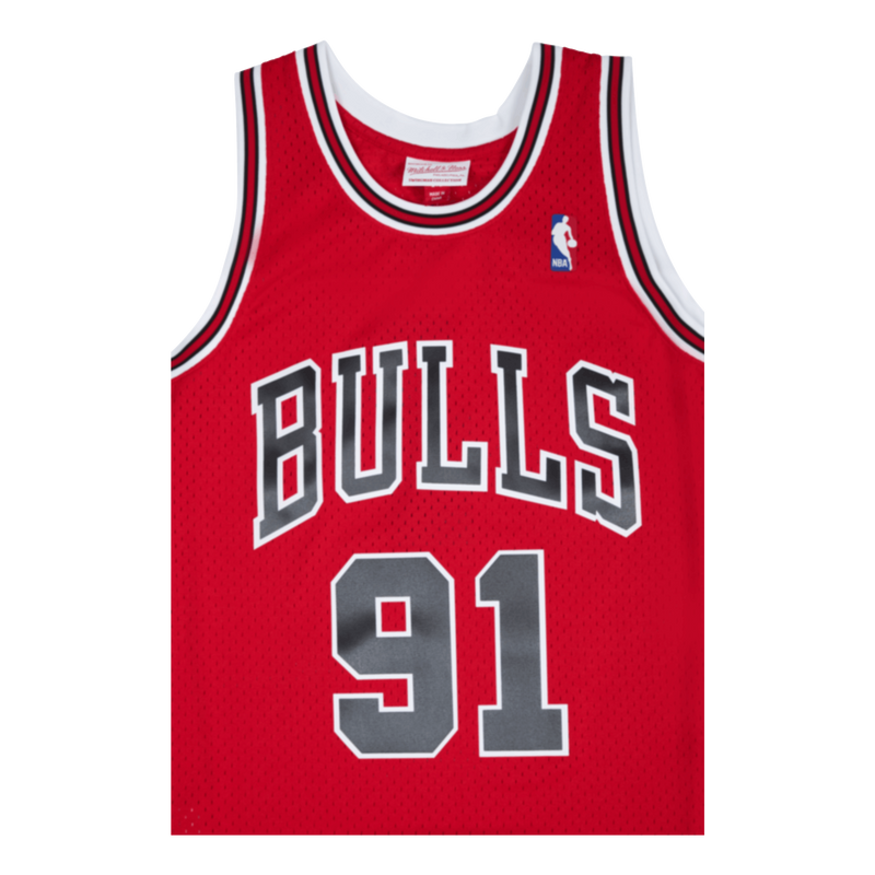 Bulls Swingman Jersey Rodman