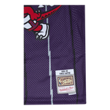 Raptors Swingman Jersey - Vince Carter