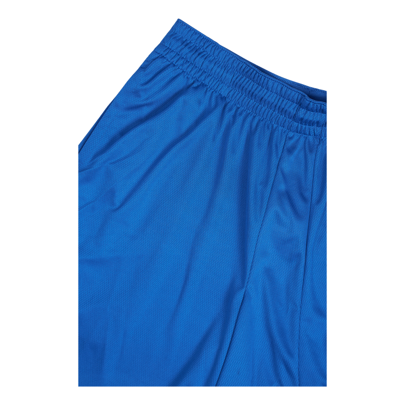 M Nk Dri-FIT HBR 10in Short 3.0