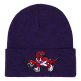 Raptors Fandom Knit Beanie HWC