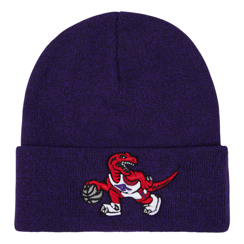 Raptors Fandom Knit Beanie HWC