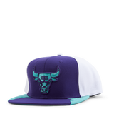 Bulls Day 5 Snapback