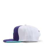 Bulls Day 5 Snapback