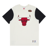 Bulls Color Blocked Ss Tee