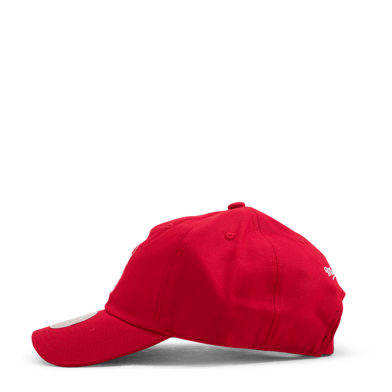 Bulls Team Ground 2.0 Dad Strapback