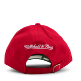 Bulls Team Ground 2.0 Dad Strapback