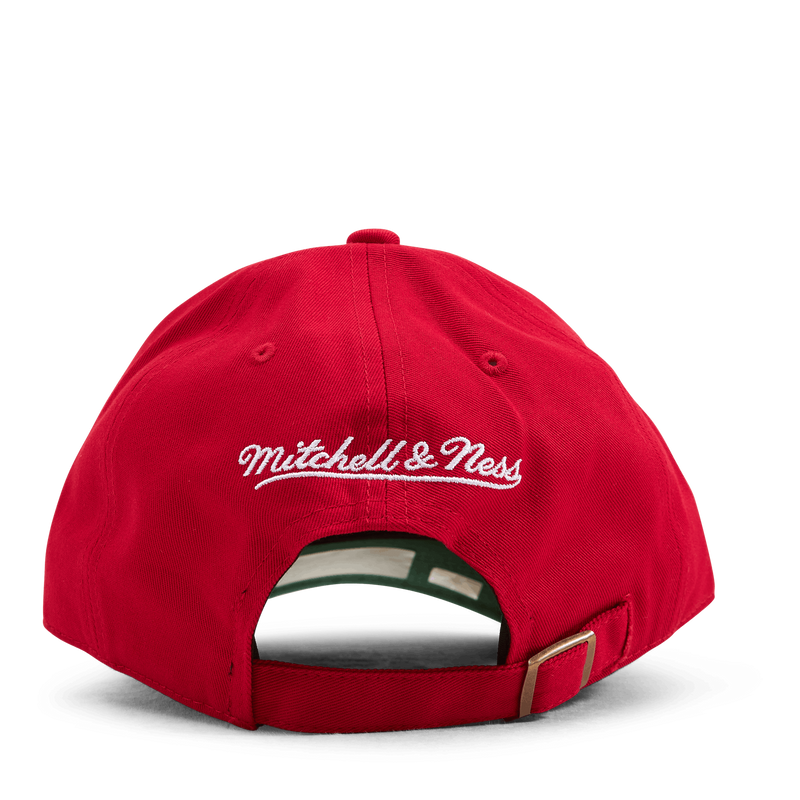 Bulls Team Ground 2.0 Dad Strapback