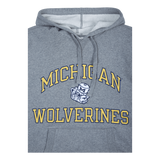 Michigan Short Sleeve Fleece Hoodie