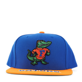 Gators Logo Bill Snapback