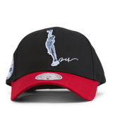76ers Highlight Real Snapback Allen Iverson