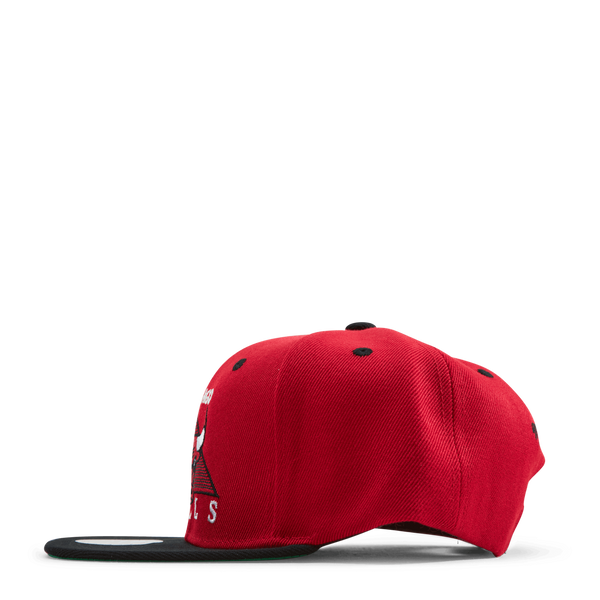 Bulls Monument Snapback