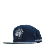 Hoyas Back In Action Snapback
