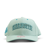 Hornets Space Knit Pro Snapback HWC
