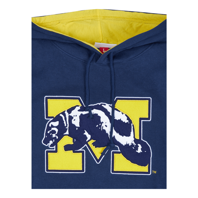 Michigan Team Origins Fleece Hoodie