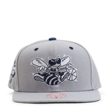 Hornets The District Snapback HWC